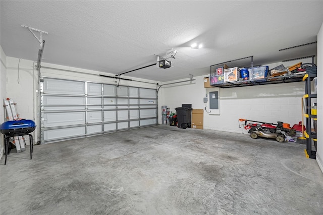 36652 N Spanish Rose Dr, Dade City, FL 33525 - photo 53