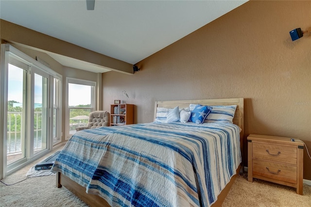 163 Brent Cir, Oldsmar, FL 34677 - carpeted bedroom with a textured wall