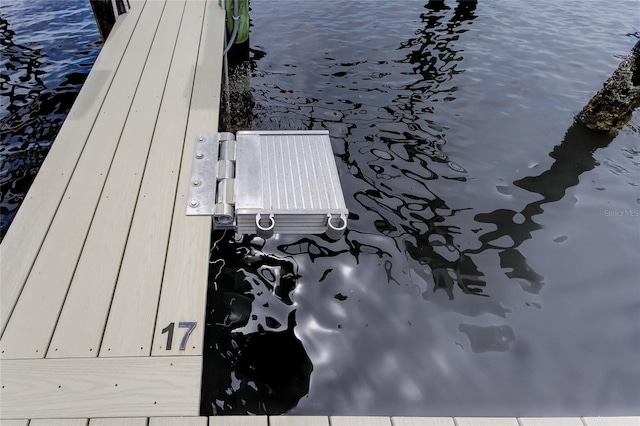 163 Brent Cir, Oldsmar, FL 34677 - view of dock area