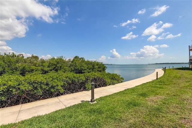 163 Brent Cir, Oldsmar, FL 34677 - water view