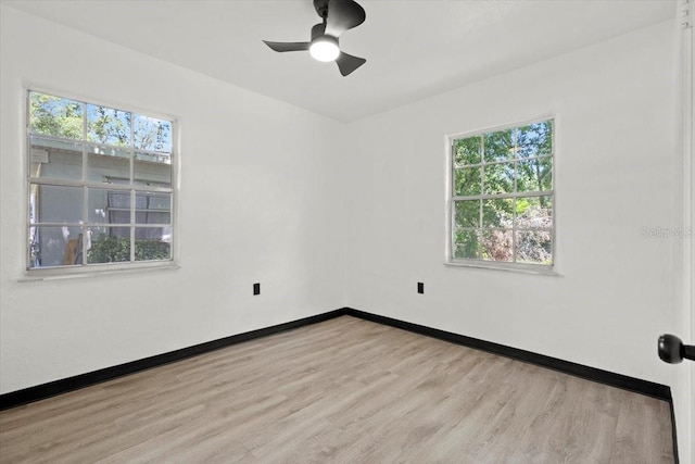 1512 Hillside Dr, Tampa, FL 33610 - photo 9