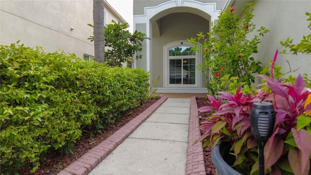 25435 Bruford Blvd, Land O Lakes, FL 34639 - view of exterior entry with stucco siding