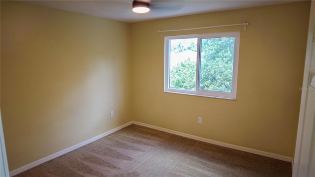 25435 Bruford Blvd, Land O Lakes, FL 34639 - empty room with a ceiling fan and carpet flooring