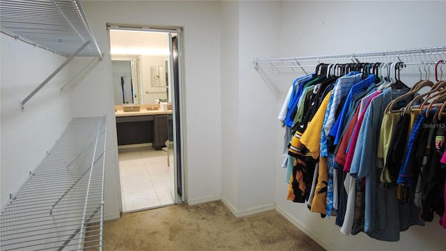 25435 Bruford Blvd, Land O Lakes, FL 34639 - walk in closet featuring light colored carpet