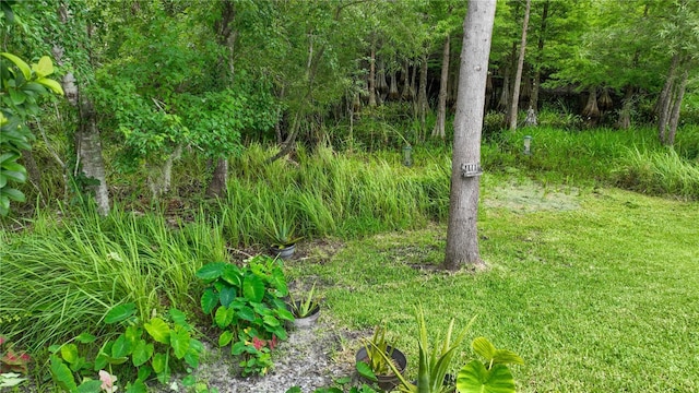 25435 Bruford Blvd, Land O Lakes, FL 34639 - photo 56