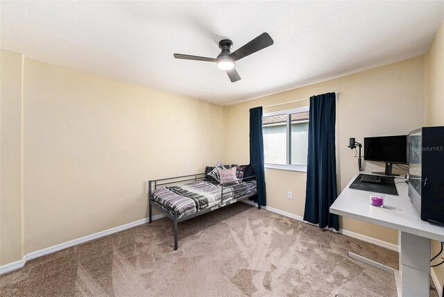 25435 Bruford Blvd, Land O Lakes, FL 34639 - photo 67