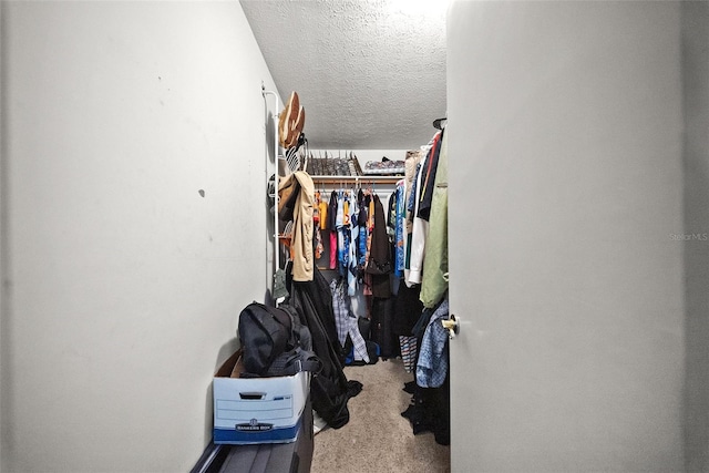 1310 Rustlewood Dr, Brandon, FL 33510 - view of spacious closet