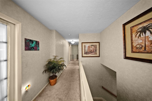 1310 Rustlewood Dr, Brandon, FL 33510 - hall with carpet flooring and a textured ceiling