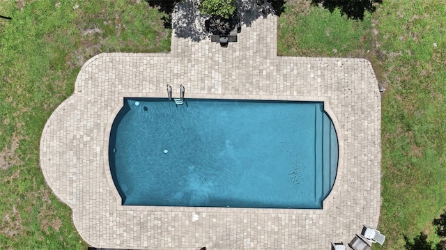 1310 Rustlewood Dr, Brandon, FL 33510 - view of outdoor pool