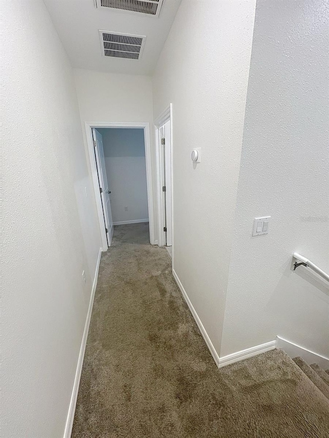 11634 Woodleaf Dr, Bradenton, FL 34211 - photo 29