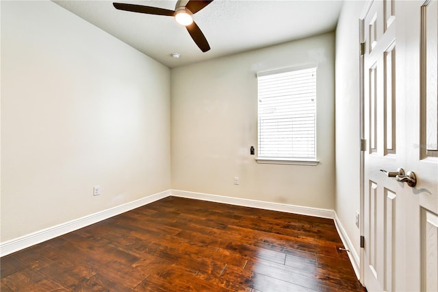11613 Sweet Tangerine Ln, Tampa, FL 33626 - photo 8