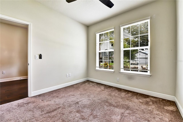 11613 Sweet Tangerine Ln, Tampa, FL 33626 - photo 13
