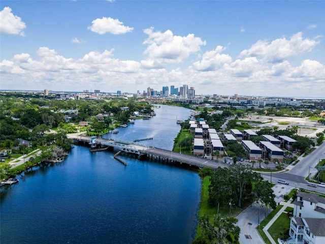 1015 W Charter St, Tampa, FL 33602 - photo 23