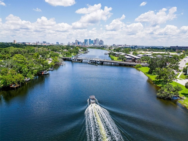 1015 W Charter St, Tampa, FL 33602 - photo 25