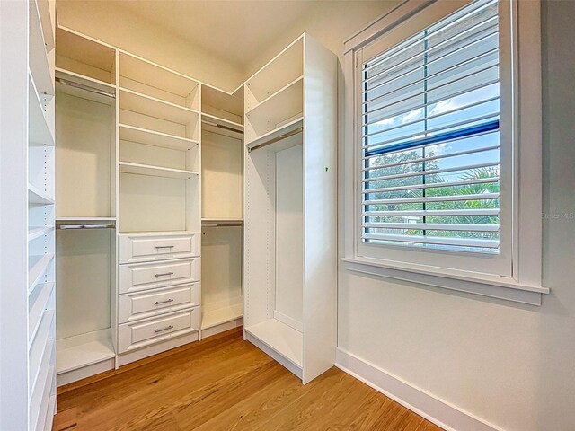 1015 W Charter St, Tampa, FL 33602 - photo 35