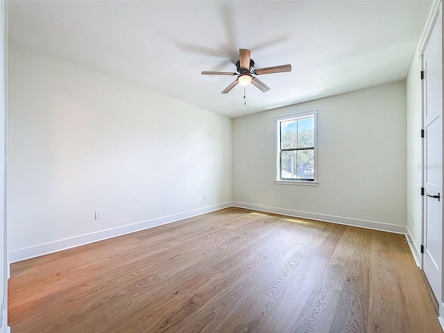 1015 W Charter St, Tampa, FL 33602 - photo 65