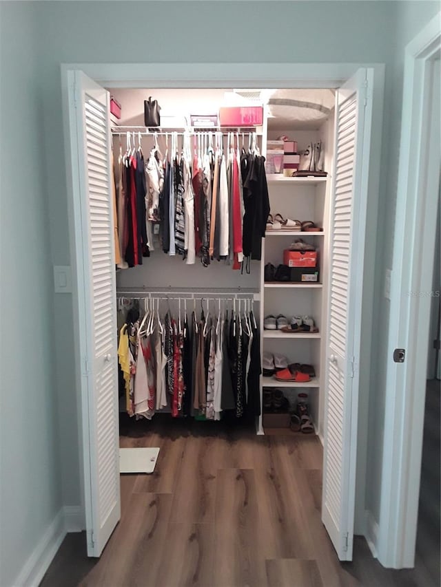702 Cypress Pl, Sun City Center, FL 33573 - view of closet
