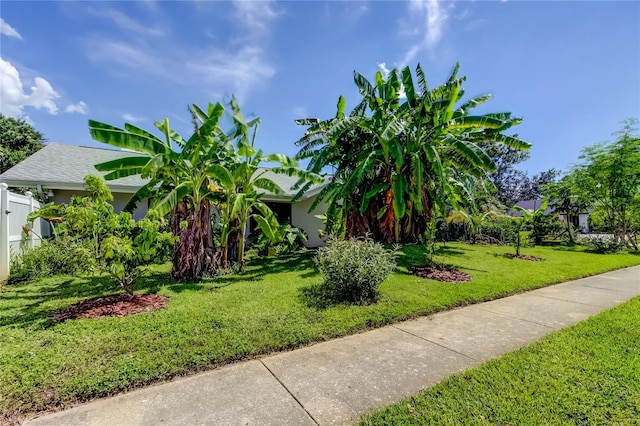 604 Knollwood Dr, Largo, FL 33770 - photo 85