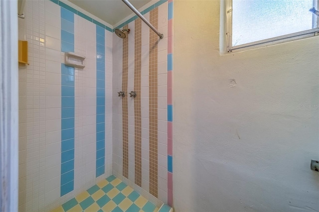 2123 Indigo Dr, Clearwater, FL 33763 - full bath with a tile shower