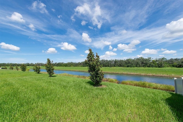 16972 Oval Rum Dr, Wimauma, FL 33598 - photo 4