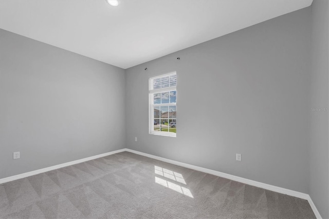 16972 Oval Rum Dr, Wimauma, FL 33598 - photo 34