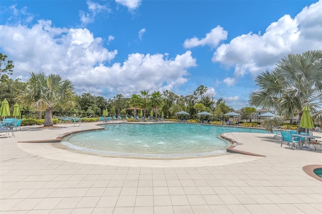 16972 Oval Rum Dr, Wimauma, FL 33598 - photo 49
