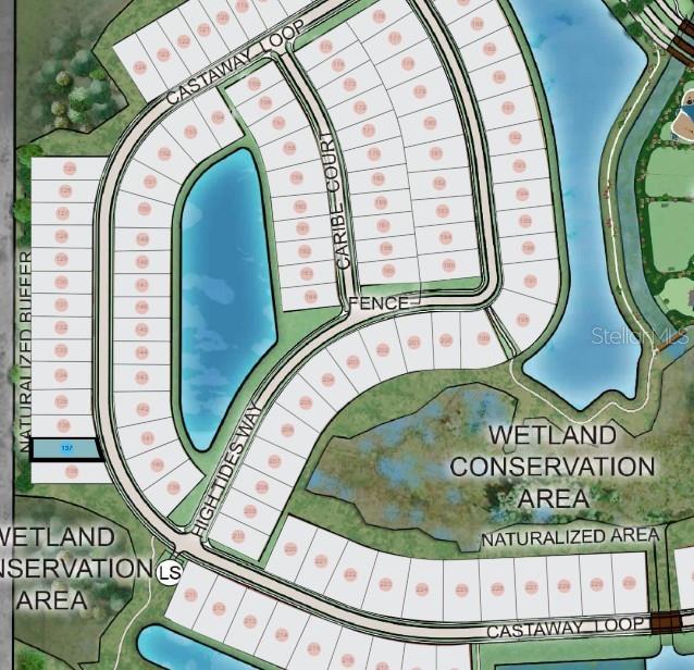 33618 Castaway Loop, Wesley Chapel, FL 33543 - map / location