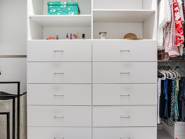 6057 Marsh Trail Dr, Odessa, FL 33556 - view of spacious closet