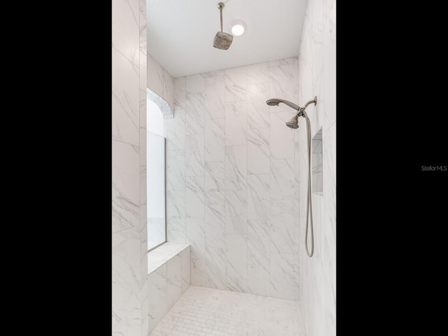 6057 Marsh Trail Dr, Odessa, FL 33556 - bathroom with a tile shower