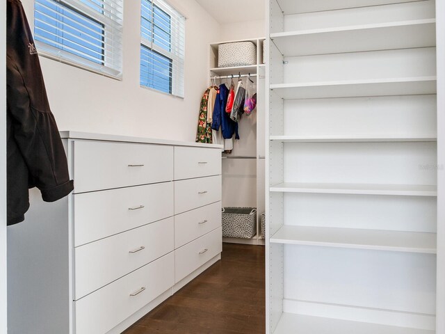 6057 Marsh Trail Dr, Odessa, FL 33556 - walk in closet featuring dark wood-style floors