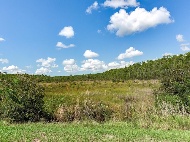 6057 Marsh Trail Dr, Odessa, FL 33556 - view of wooded area