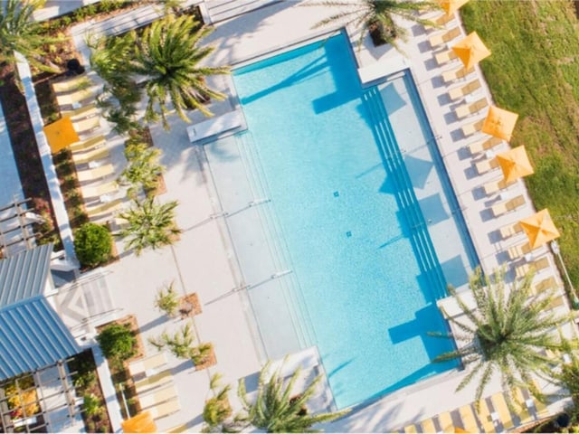 6057 Marsh Trail Dr, Odessa, FL 33556 - view of pool