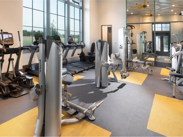 6057 Marsh Trail Dr, Odessa, FL 33556 - workout area featuring a high ceiling and carpet floors