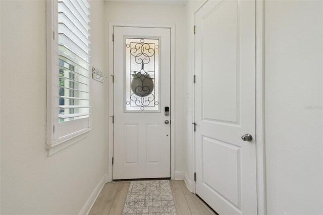 17880 Althea Blue Pl, Lutz, FL 33558 - photo 4