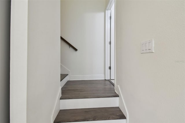 17880 Althea Blue Pl, Lutz, FL 33558 - photo 20