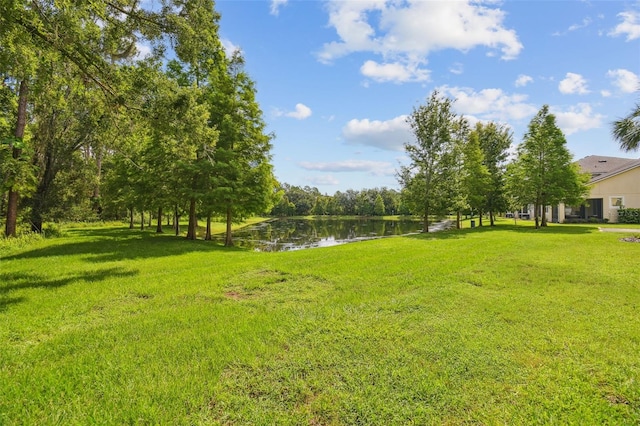 17880 Althea Blue Pl, Lutz, FL 33558 - photo 41