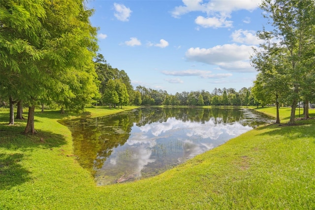 17880 Althea Blue Pl, Lutz, FL 33558 - photo 42