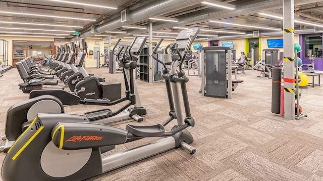201 Bedford St Unit 79, Sun City Center, FL 33573 - exercise room with carpet floors