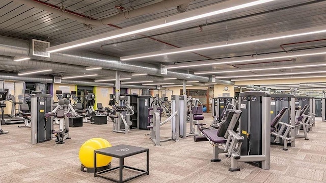 201 Bedford St Unit 79, Sun City Center, FL 33573 - workout area with carpet floors