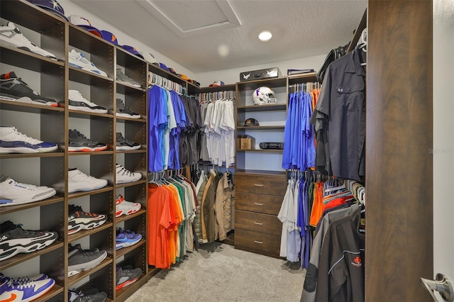 2866 Quail Crest Ct, Valrico, FL 33594 - spacious closet featuring attic access and carpet floors