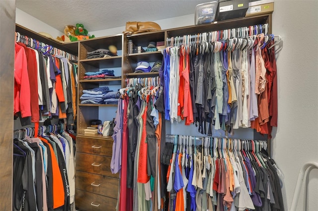 2866 Quail Crest Ct, Valrico, FL 33594 - view of spacious closet