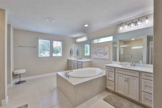 2866 Quail Crest Ct, Valrico, FL 33594 - full bath featuring a shower stall, healthy amount of natural light, two vanities, a garden tub, and a textured ceiling
