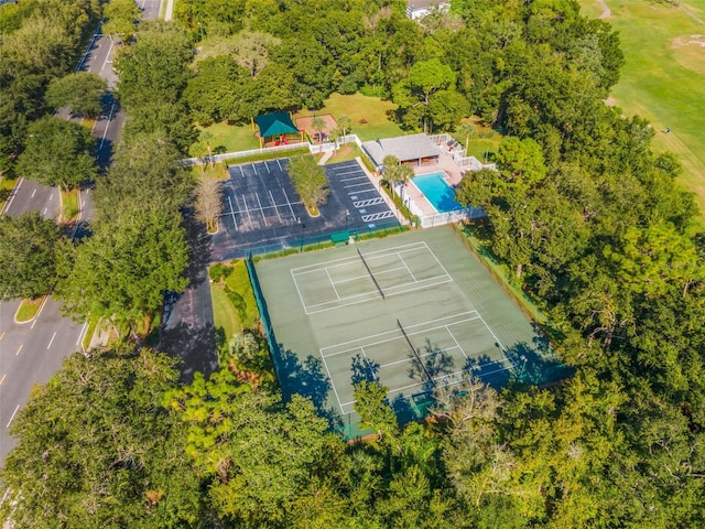 34811 Arbor Green Pl, Zephyrhills, FL 33541 - photo 32