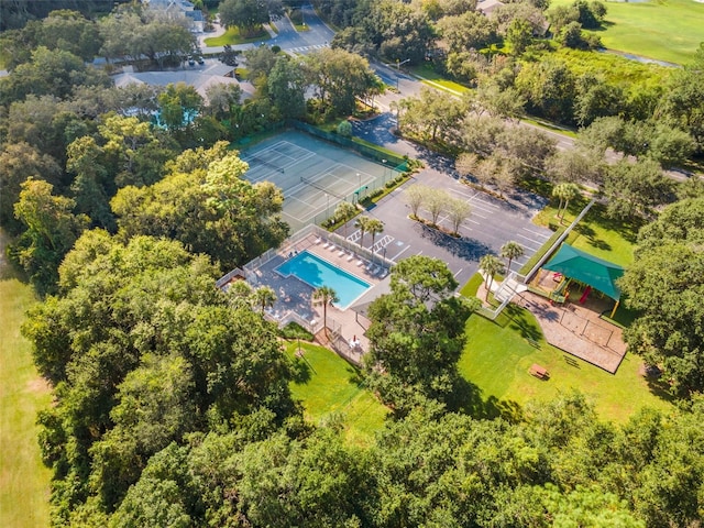 34811 Arbor Green Pl, Zephyrhills, FL 33541 - photo 33