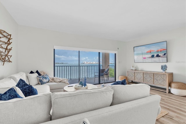 602 Lime Ave Unit 102, Clearwater, FL 33756 - living area with light wood finished floors
