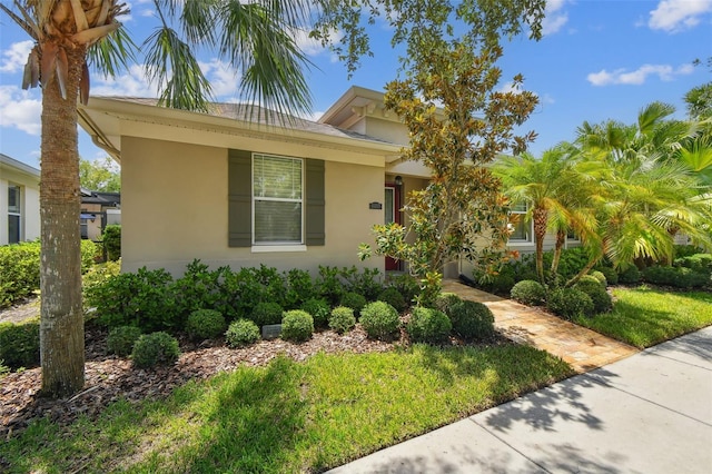 11317 Wickersley Pl, Tampa, FL 33625 - photo 3