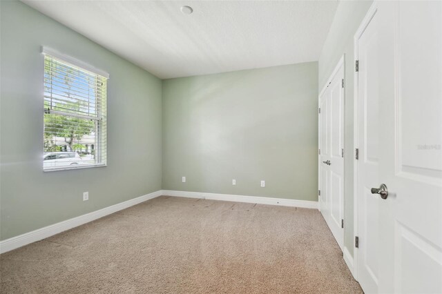 11317 Wickersley Pl, Tampa, FL 33625 - photo 31