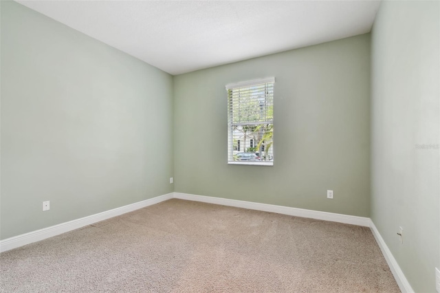 11317 Wickersley Pl, Tampa, FL 33625 - photo 41