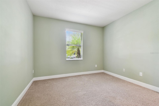 11317 Wickersley Pl, Tampa, FL 33625 - photo 44