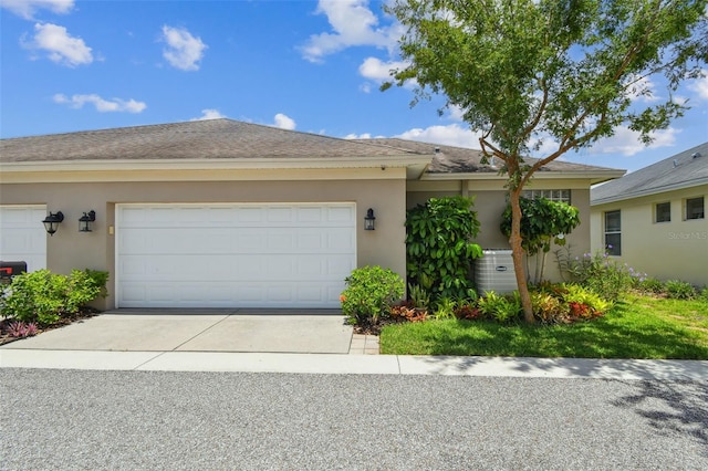 11317 Wickersley Pl, Tampa, FL 33625 - photo 51
